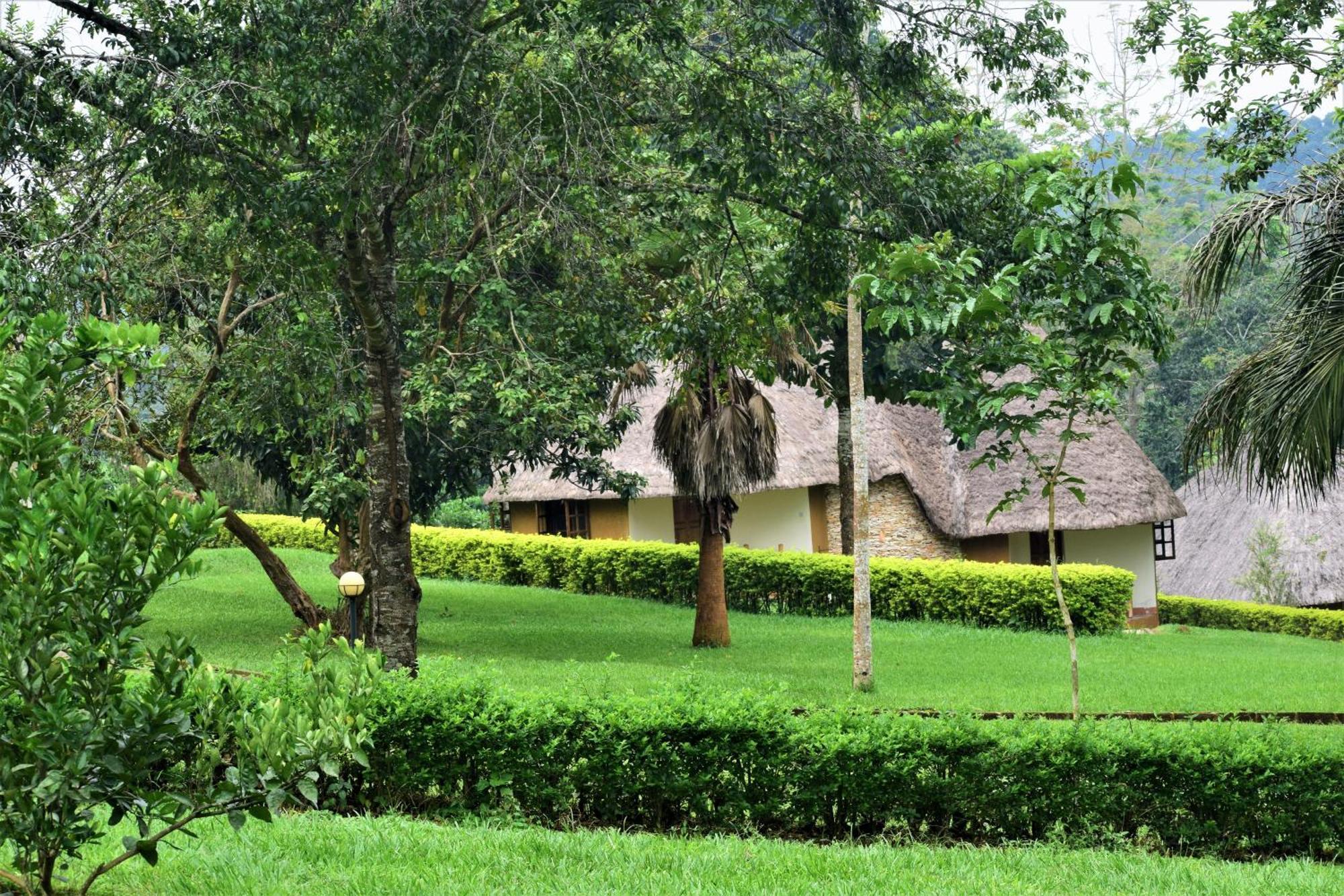 Kibale Guest Cottages Fort Portal Dış mekan fotoğraf